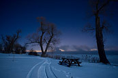 Bench And Trees And Darkness